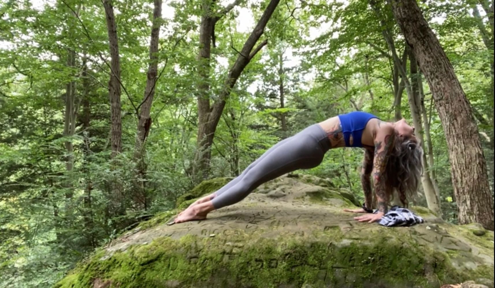 TLC Yoga and Healing